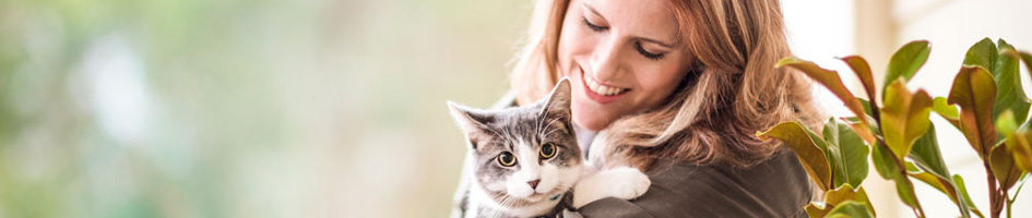 Pet Medicine for Pet and Horse Owners